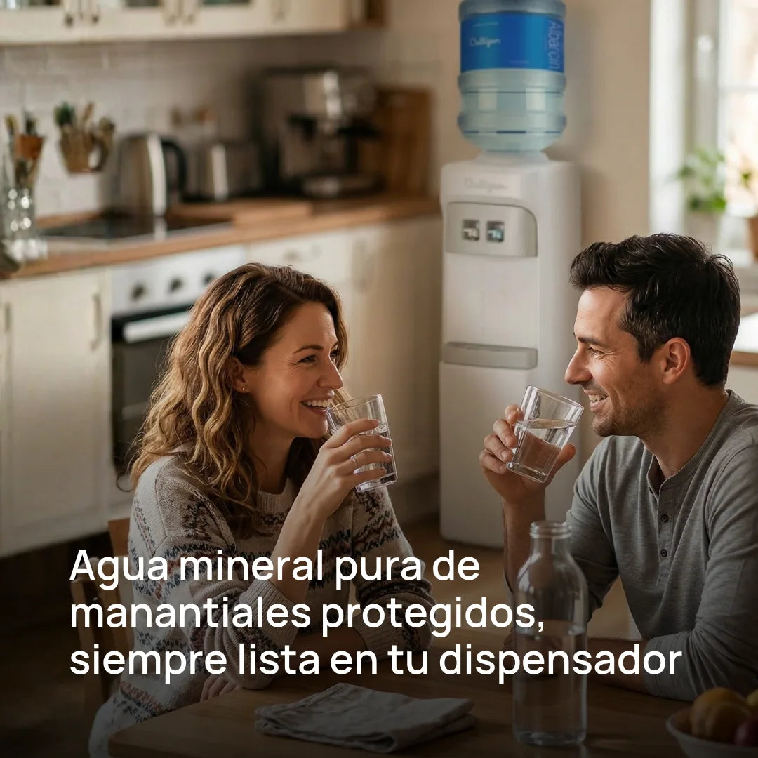 Fuente con agua mineral