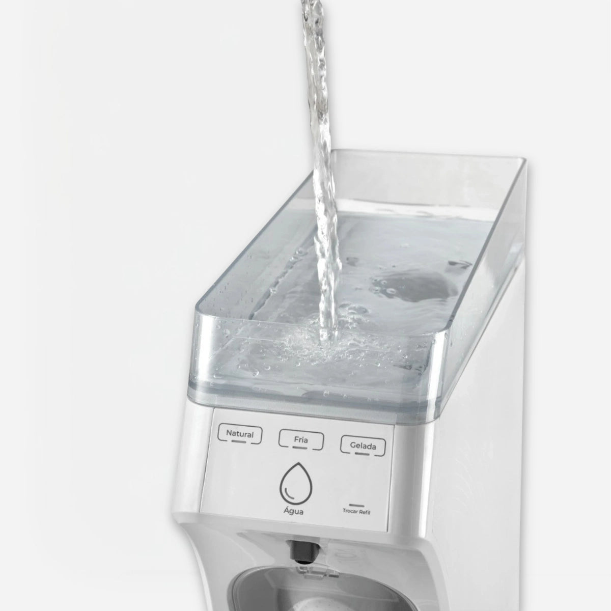 Fuente IBBL Freedom